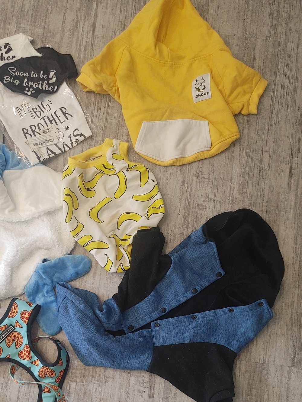 HUGE FRENCHIE LOT L/XL French Bulldog Clothes & Accessories - Picture 5 of 10